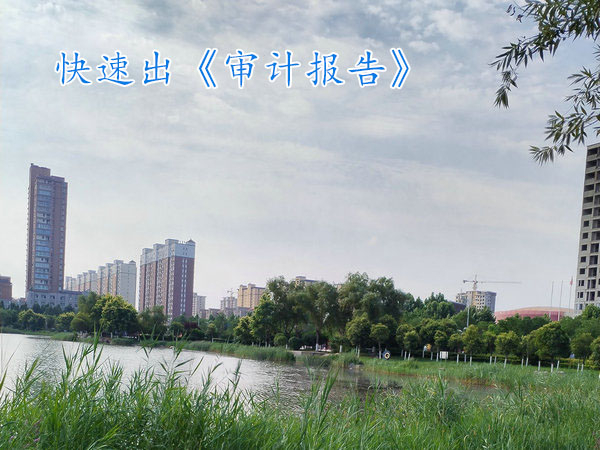 鄭州審計報告,鄭州代出審計報告