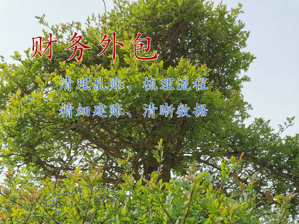 鄭州生產制造企業財務外包的好處是什么？