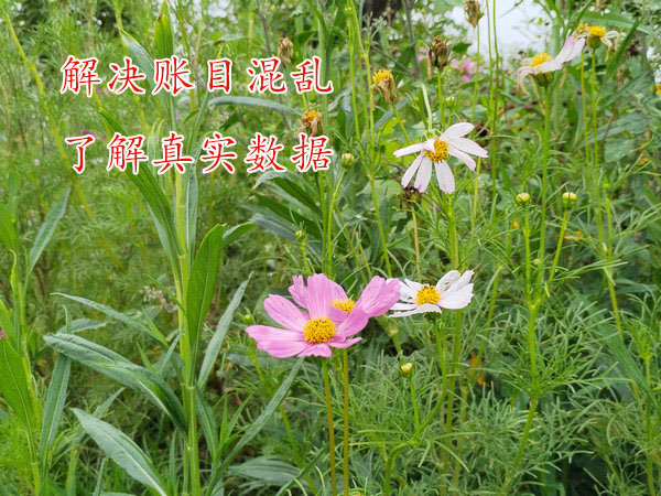 公司的財務賬目太亂怎么辦？