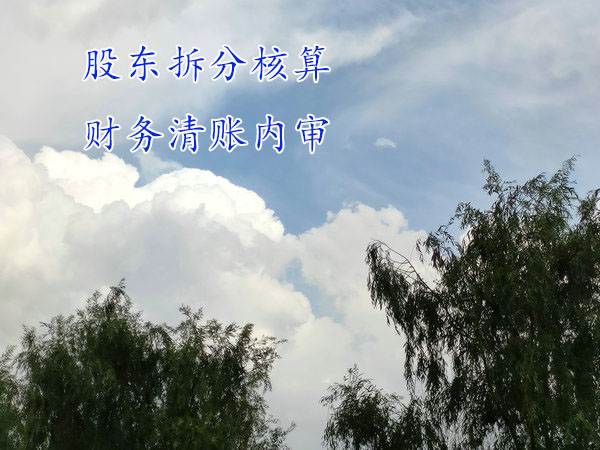 股東們想分家，財務上如何處理？