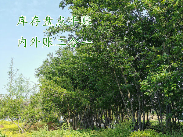 項目結束了想知道賺了多少錢，該怎么盤賬？